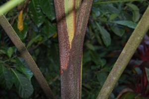 post-420-085541300 1313555669_thumb.jpg