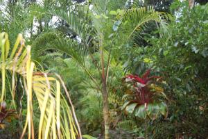 post-420-095730100 1313555514_thumb.jpg