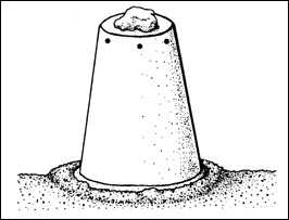 post-429-1168513034_thumb.png