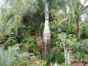 post-430-092002100 1336010737_thumb.jpg