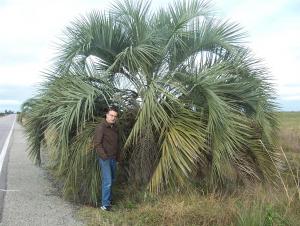 post-432-010464900 1311508227_thumb.jpg