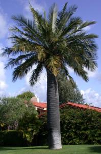 post-432-045038900 1315398184_thumb.jpg