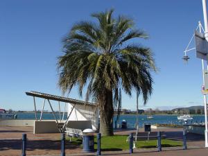 post-432-060197700 1315399126_thumb.jpg