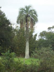 post-432-063992800 1311508499_thumb.jpg