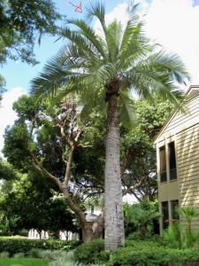 post-432-076855900 1315398202_thumb.jpg