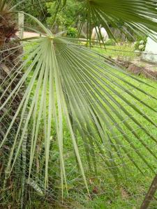 post-432-078354200 1327127320_thumb.jpg