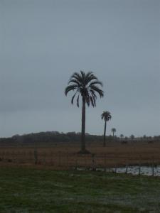 post-432-087081900 1311508661_thumb.jpg