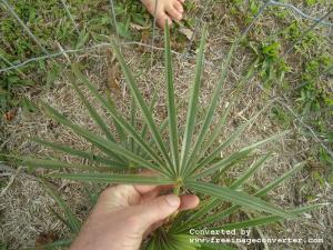 post-465-003532600 1333844670_thumb.jpg