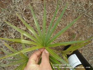 post-465-036312100 1333847566_thumb.jpg