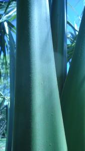 post-465-045834100 1333735948_thumb.jpg