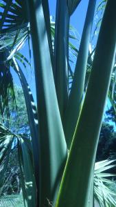 post-465-084527600 1333735868_thumb.jpg