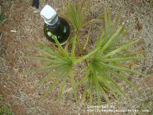 post-465-084993400 1333847422_thumb.jpg