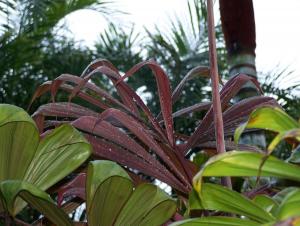 post-4755-0-20028300-1369107499_thumb.jp