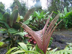 post-4755-0-29038900-1369107574_thumb.jp