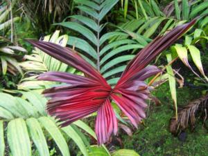 post-4755-0-44339700-1369107516_thumb.jp