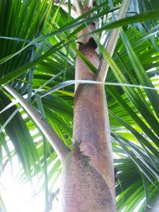 post-4755-0-57360000-1377052872_thumb.jp