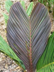 post-4755-0-68733400-1369107721_thumb.jp