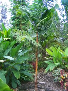 post-4755-0-71805400-1377052836_thumb.jp