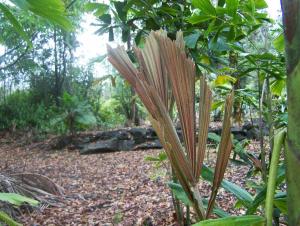 post-4755-0-92931600-1369107810_thumb.jp