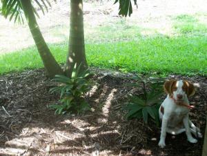 post-4755-0-95258700-1416008759_thumb.jp