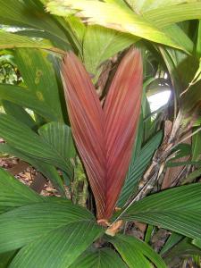 post-4755-0-96899800-1369107881_thumb.jp