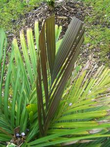 post-4755-0-97641800-1369107761_thumb.jp