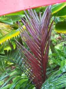 post-4755-0-97956800-1369107597_thumb.jp