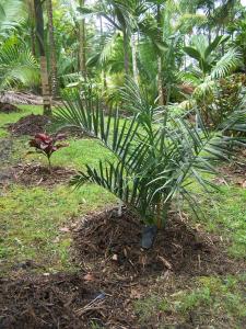 post-4755-017090200 1330464894_thumb.jpg