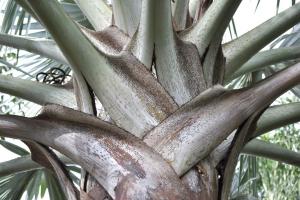 post-4755-036638200 1322236913_thumb.jpg