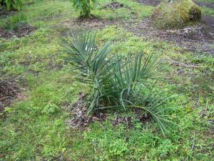 post-4755-039349500 1330464794_thumb.jpg