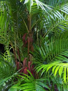 post-4755-079153300 1312048275_thumb.jpg