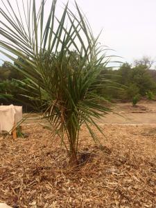 post-4818-0-08208200-1417458669_thumb.jp