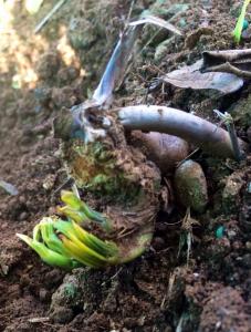 post-4818-0-48428000-1421526200_thumb.jp