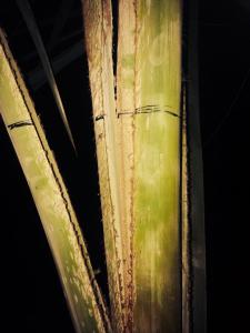 post-4818-0-48856900-1427606526_thumb.jp