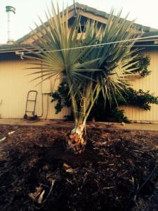 post-4818-0-49388200-1427606256_thumb.jp