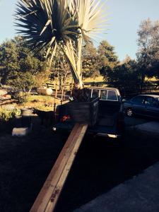 post-4818-0-98241900-1427605594_thumb.jp