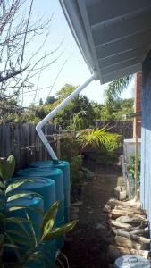 post-4818-032932900 1330585213_thumb.jpg