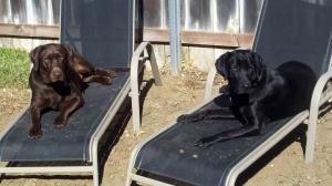 post-4818-054010400 1330584758_thumb.jpg