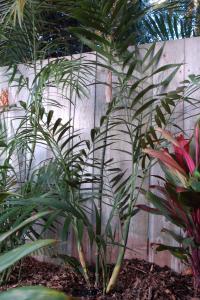 post-4818-058800300 1313293310_thumb.jpg