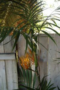 post-4818-075097100 1312561126_thumb.jpg