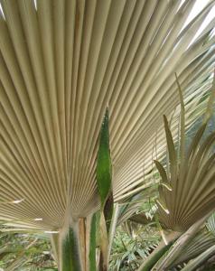 post-4990-0-25720900-1403809098_thumb.jp