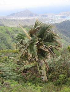 post-4990-0-39067300-1403808852_thumb.jp