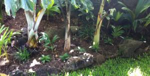 post-4990-0-57291200-1401305202_thumb.jp