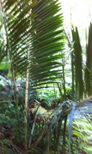 post-4990-0-66592300-1389082024_thumb.jp