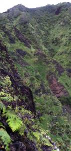 post-4990-0-73782300-1403811505_thumb.jp