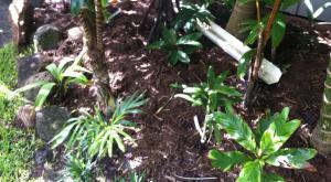 post-4990-0-94649200-1401304791_thumb.jp