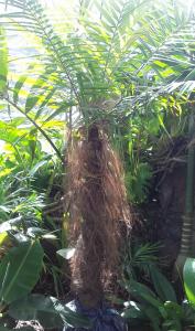 post-4990-059609500 1334713223_thumb.jpg