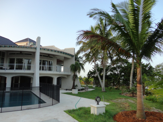 Special House...Special Palms