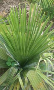 post-50-003719600 1316130411_thumb.jpg