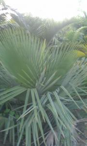 post-50-037718100 1316129980_thumb.jpg